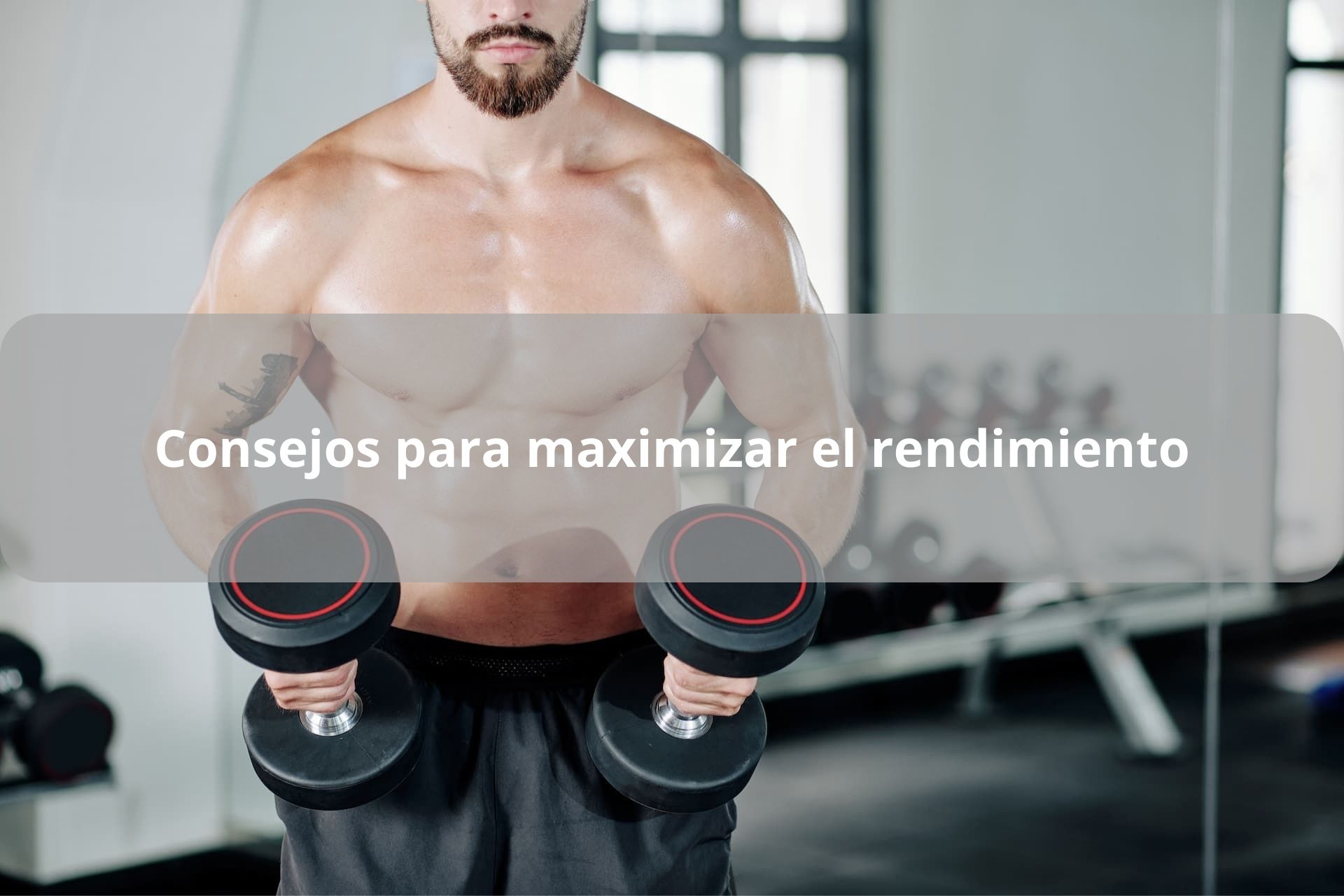 consejos para maximizar el rendimiento